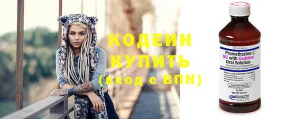 мдпв Пересвет