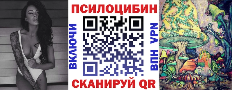 закладка  Губкин  Галлюциногенные грибы Cubensis 