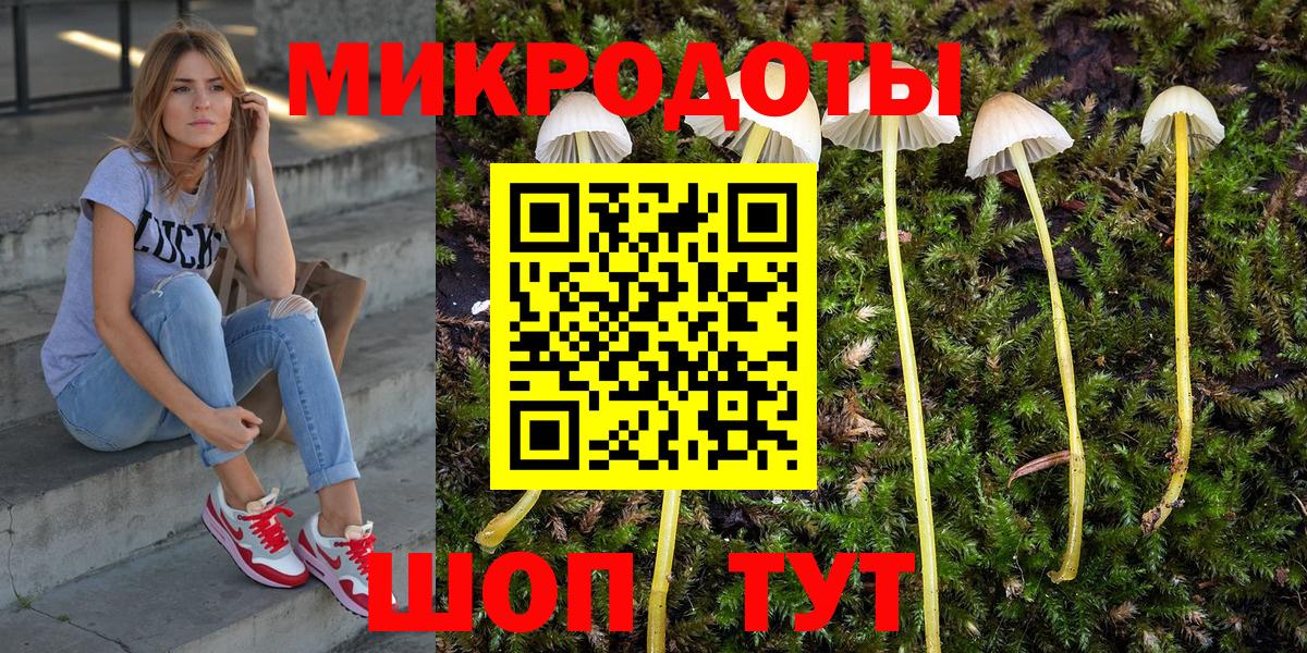 Галлюциногенные грибы прущие грибы  Вход с VPN  Губкин  Псилоцибиновые грибы Psilocybine cubensis 