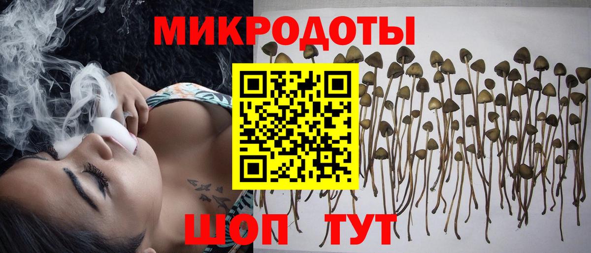 Псилоцибиновые грибы Magic Shrooms Губкин