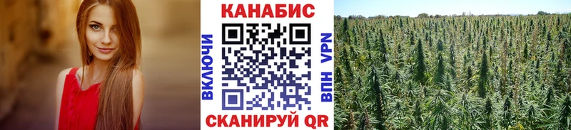 Бошки марихуана AK-47  Губкин 